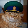 Автор