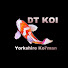 krSyBCPUUgw-channel-avatar-DT Koi