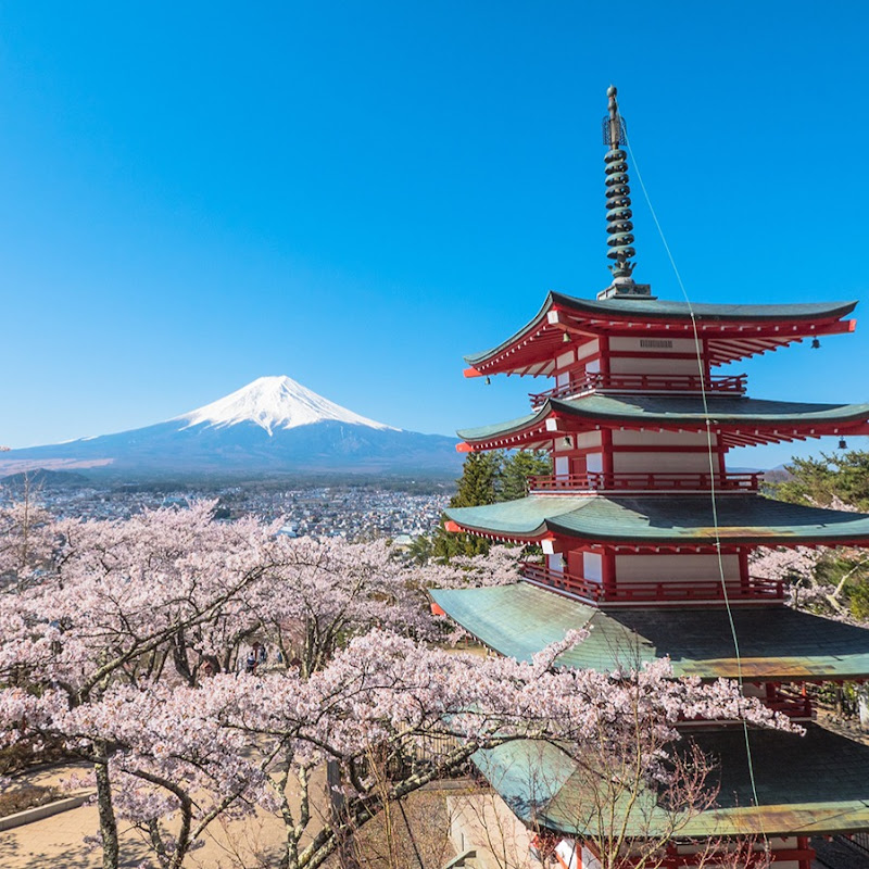 【公式】ふじよしだ-観光・イベント広報