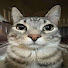 CFJfWeTlCRQ-channel-avatar-ItzAquality 