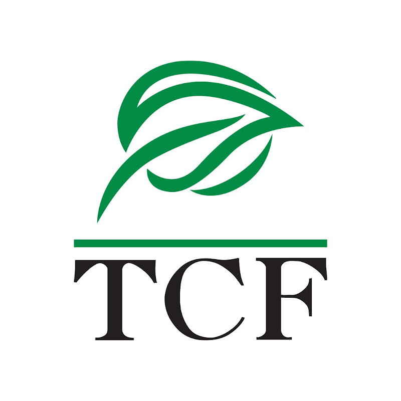 The Citizens Foundation
