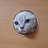 Автор