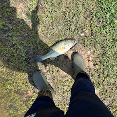 BassFishingwitdee
