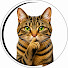 7pxji_vbMN4-channel-avatar-Whispurr