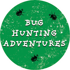 Bug Hunting Adventures