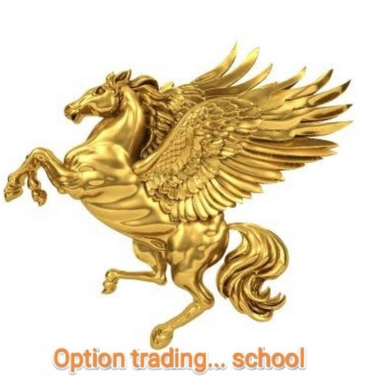 Option Trading... school