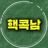 핵콕남 profile image