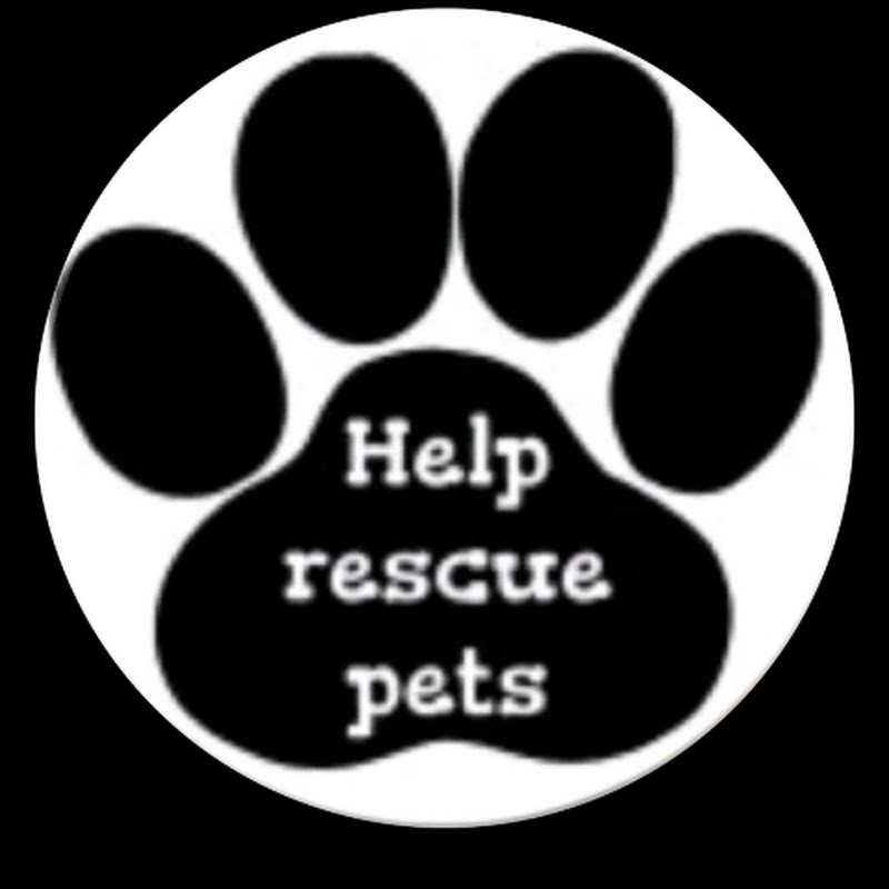 RESCUE PETS avatar