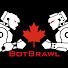 4SL8MKe7sKU-channel-avatar-BotBrawl Canada