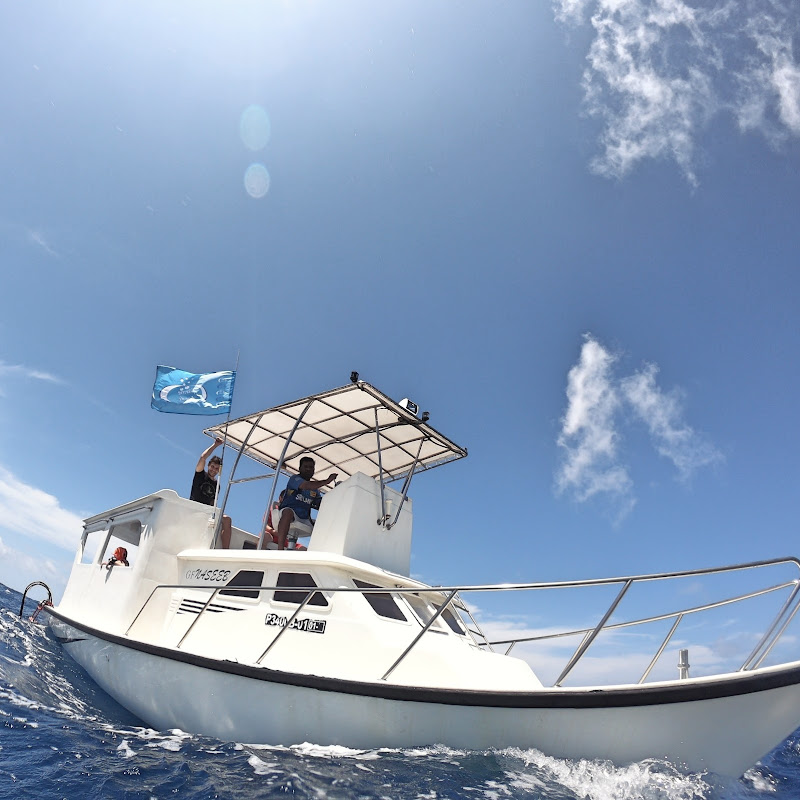 Thoddoo Diving Center