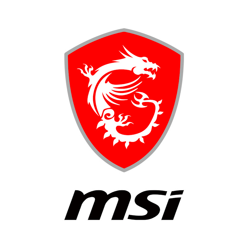 MSI USA