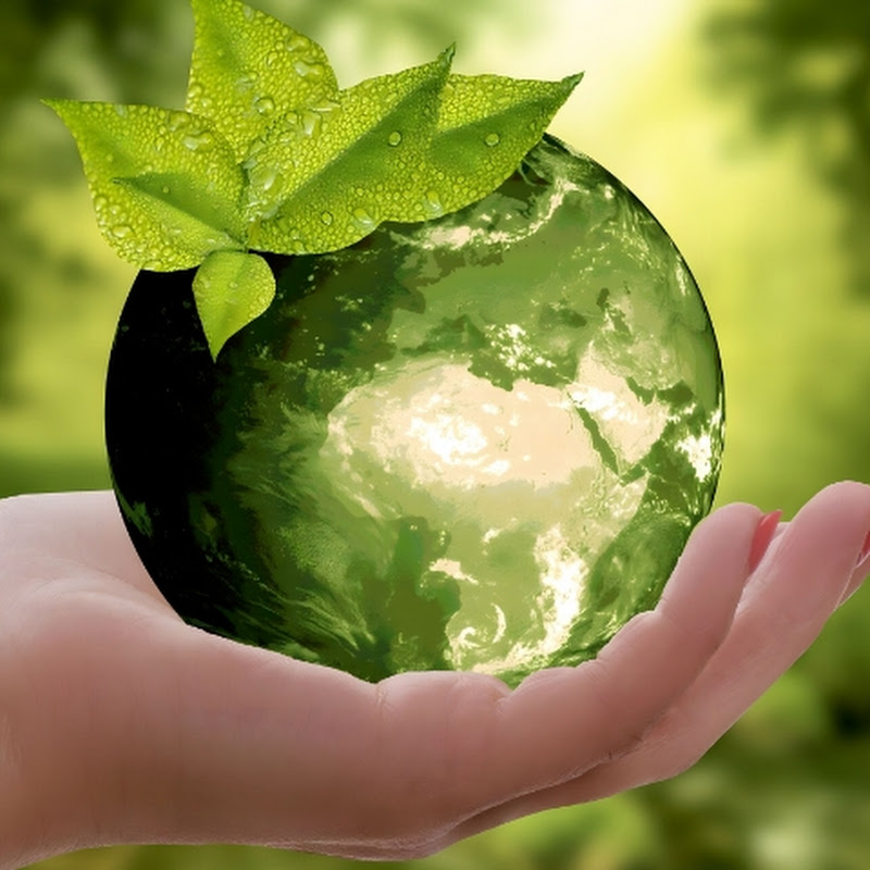 The healthy world