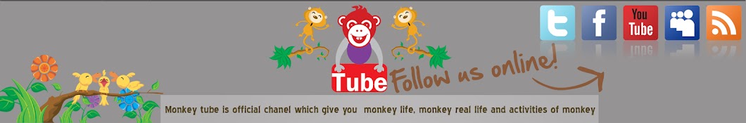 MONKEY Tube YouTube channel avatar