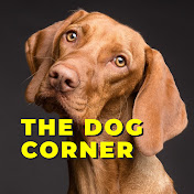 The Dog Corner