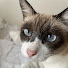 emW0S2m8F9M-channel-avatar-霊界通信→テキスト化