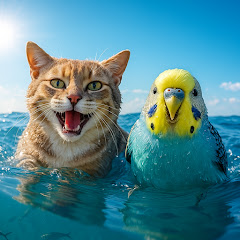 محترف الطيور Mohtarif toyourの画像