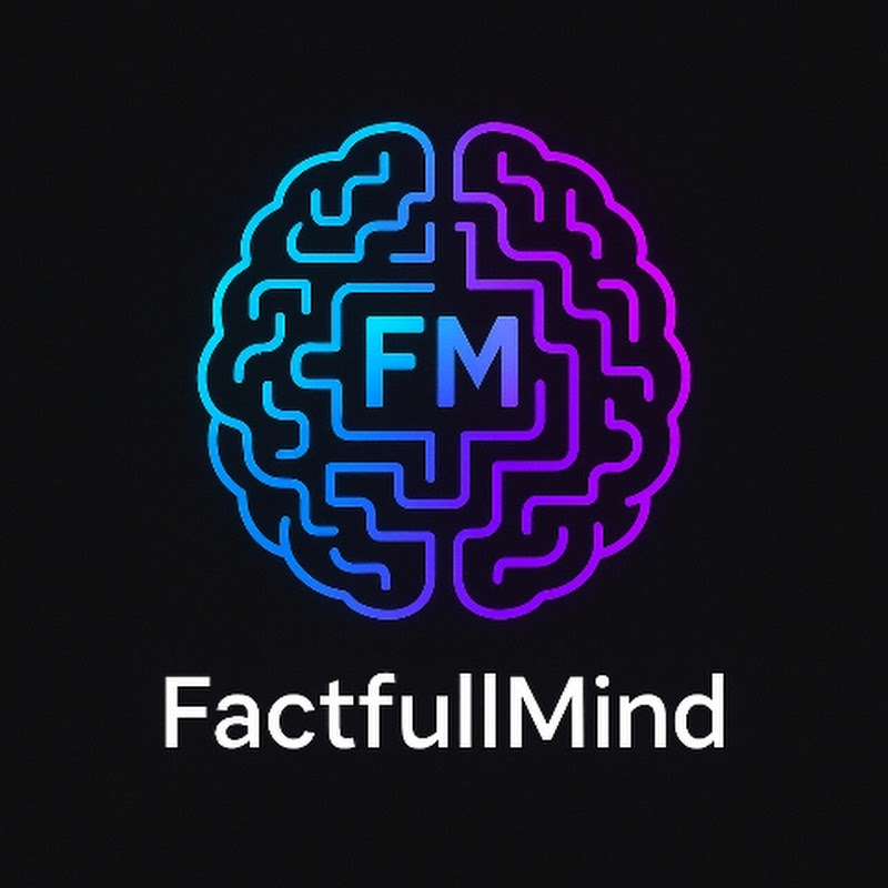 Factfull Mind