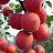@sandeepmane2983's avatar