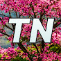 TN Story logo