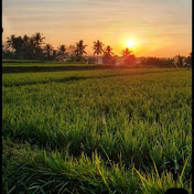Malayali life style 