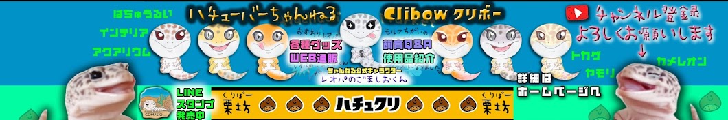 [çˆ¬è™«é¡žãƒšãƒƒãƒˆ]ãƒãƒãƒ¥ã‚¯ãƒªã¡ã‚ƒã‚“ã­ã‚‹ यूट्यूब चैनल अवतार