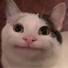 猫猫meme的日常アイコン画像