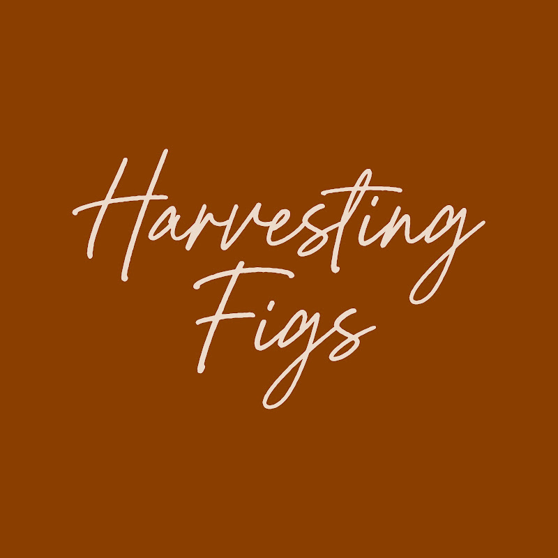 Harvesting Figs