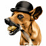 gBsiHm-brTY-channel-avatar-Trilha do Ouro