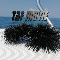 T.A.F. movie Viaggi