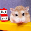 What could Major Hamster & Friends buy with $259.01 thousand?