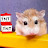 Major Hamster & Friends