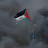 @IstandwithPalestine__