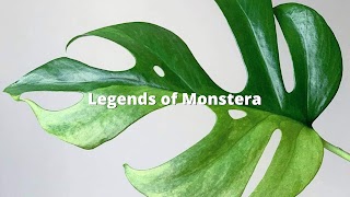 «Legends Of Monstera» youtube banner