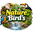 8SrqSoA6yzM-channel-avatar-Nature Bird's