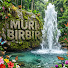 xbqnImyb_Dk-channel-avatar-Muri BirBir