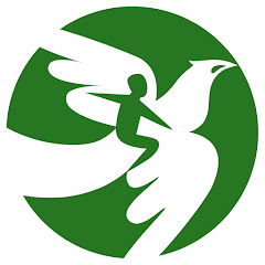 OneDayMore Polska