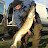 @peterfitzpatrick7032 Avatar