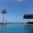 @Sink-or-Swim-1