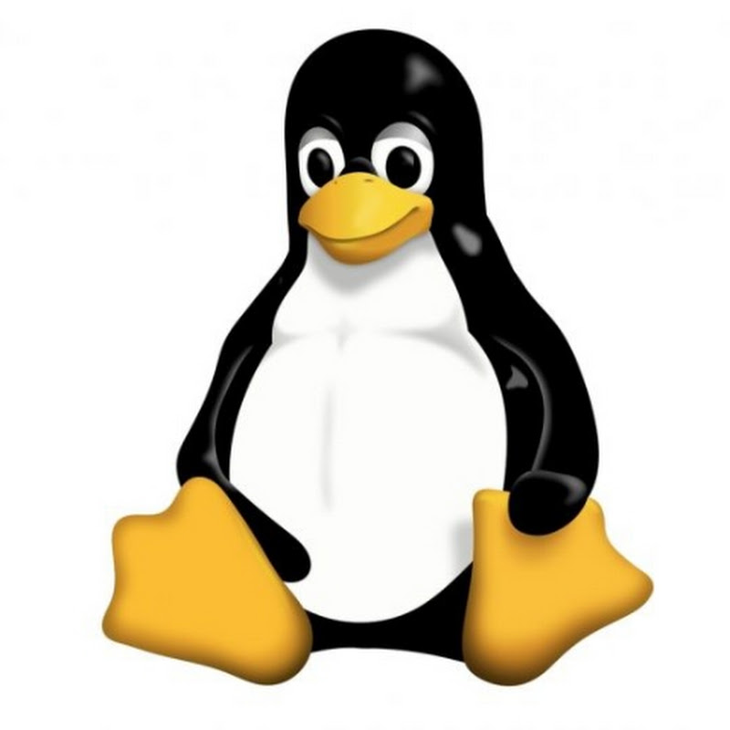 Johannes 4GNU_Linux Logo