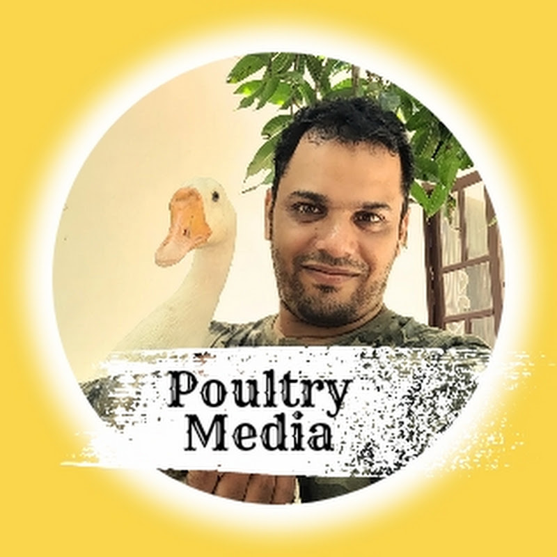Poultry Media