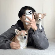 ちわ柴のこつめとチワワのけろ
