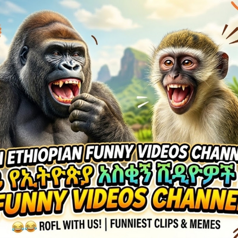 Ai Funny Videos