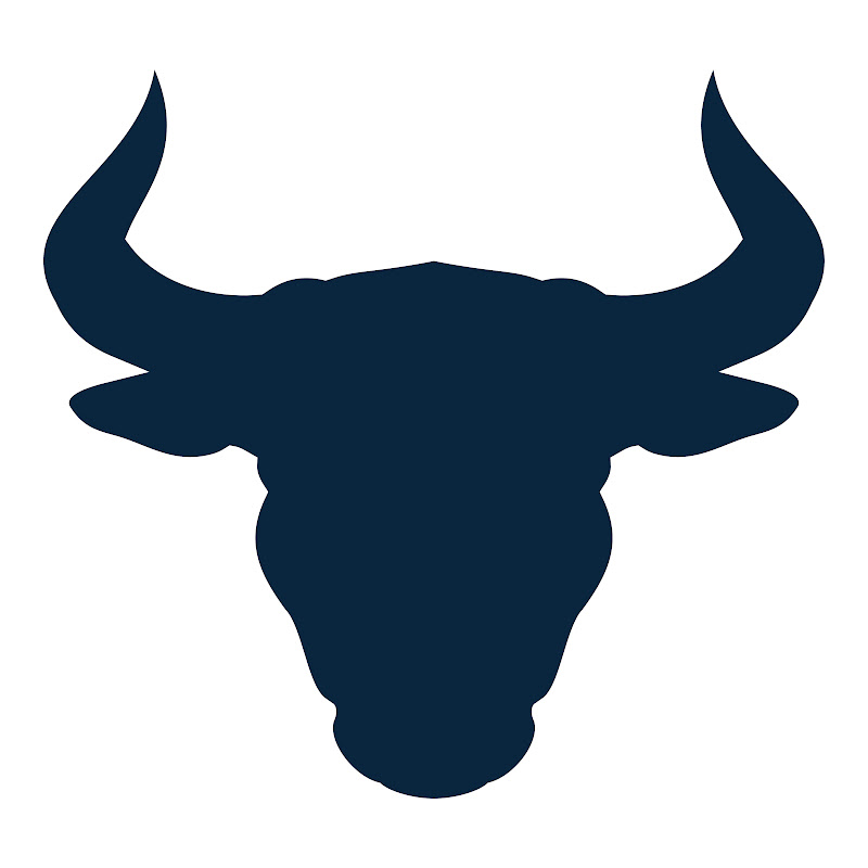 Blue Ox RV Inspection