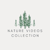 Nature Videos Collection