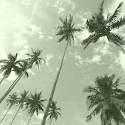 Relaxing Beach Music Radio - トピック
