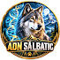 VDflTsPQ8oY-channel-avatar-ADN SĂLBATIC