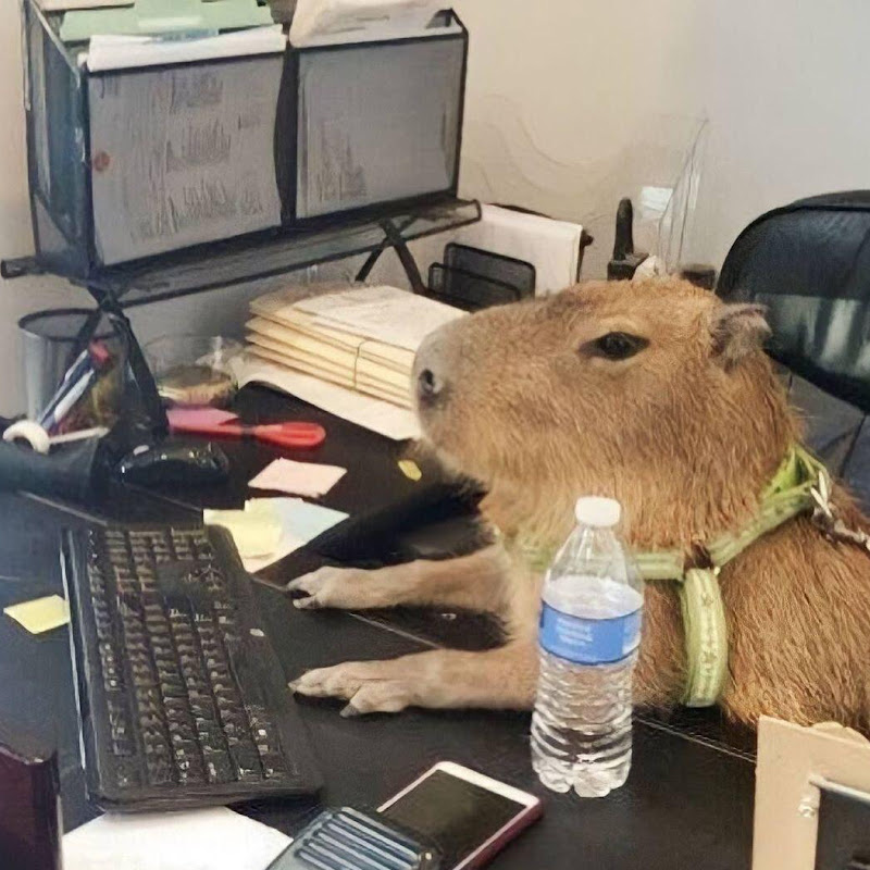 Đông Nguyễn Xuân