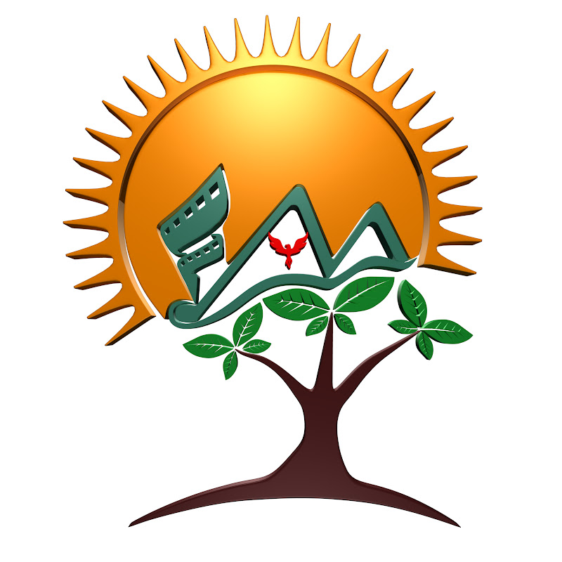 Sunrise Computer Film Animation & Multimedia profile avatar