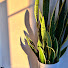 iI8RWZg8CDw-channel-avatar-Nana Coco