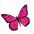 Nb24w8d-Fxk-channel-avatar-Insect Today